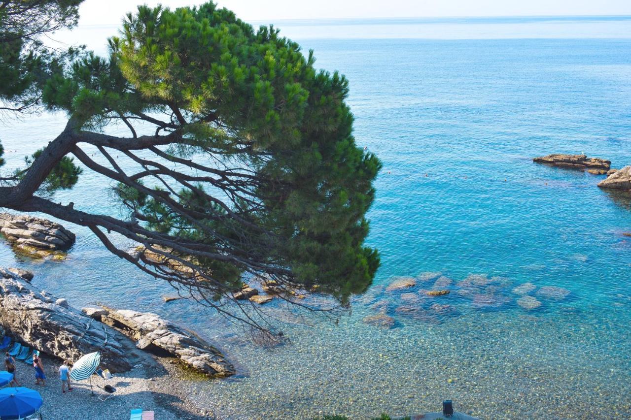 Appartement La Terrazza Sul Mare à Zoagli Extérieur photo